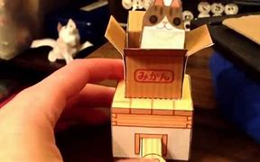 Image result for Box Cat Tubbypaws Papercraft