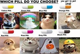 Image result for Dog Pill Meme