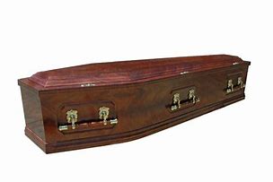 Image result for Vintage Coffin