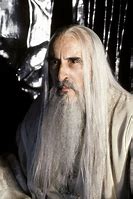 Image result for Saruman Lord of the Rings the Two Towers