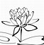 Image result for Basic Lotus Flower
