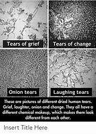 Image result for Laughing Tears Meme
