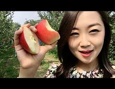 Image result for Apple-Picking Robot