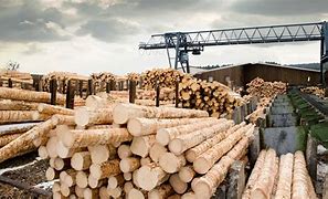 Image result for Forest Products Lumber