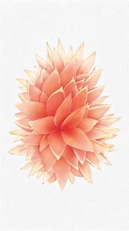 Image result for Rose Gold Wallpaper iPhone 6s