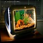 Image result for iMac Fish Tank