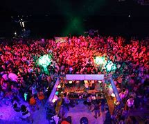 Image result for Moon Moon Party Animals
