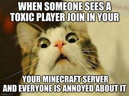 Image result for Toxic Cat Meme