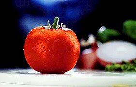 Image result for Ital Food GIF