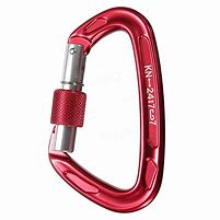 Image result for Carabiner Clip for Climbing