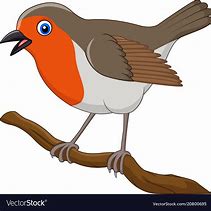 Image result for Robin Vector
