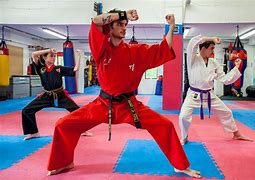 Image result for Martial Arts Challenge