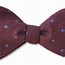 Image result for Polka Dot Bow Tie