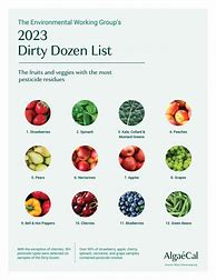 Image result for Dirty Dozen Clean 15