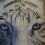 Image result for White Tiger Painting