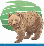 Image result for Kodiak Bear Cartoon