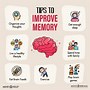 Image result for The Outline of How Memory Works