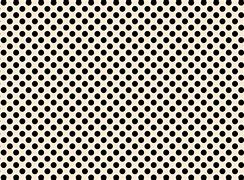 Image result for Black and White Micro Spoted Static