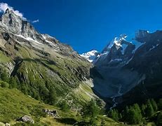 Image result for alpss