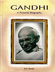Image result for Gandhi Books