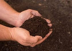 Image result for Miracale Grow Organic Compost
