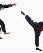 Image result for Hung Gar Kung Fu Techniques