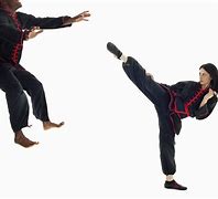 Image result for Kung Fu Kick