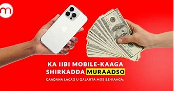 Image result for Muraadso iPhone 5