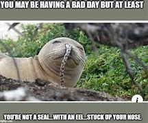 Image result for Been a Bad Week Memes