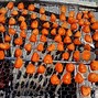 Image result for How to Dry Apricots