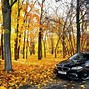 Image result for Car in Front View in Nature