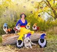 Image result for Cute Puppy Costumes