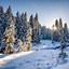 Image result for Cute Winter iPhone Wallpaper