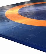 Image result for Wrestling Mat Top View
