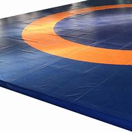 Image result for Wrestling Mat Ariel View