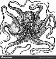Image result for Vintage Octopus Images