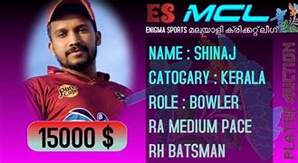 Image result for Cricket Auction Background Images
