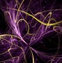 Image result for Purple Green Yellow Pink