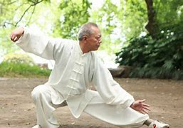 Image result for 24 Form Tai Chi Demonstration Master Amin Wu