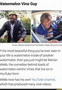 Image result for Watermelon Vine Funny