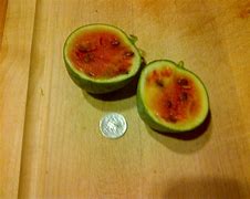 Image result for Smallest Fruit