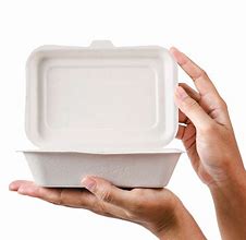 Image result for Take Out Pasta Containers