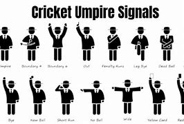 Image result for Cricket Umpire Uniform