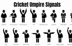 Image result for Cricket Umpire Counter