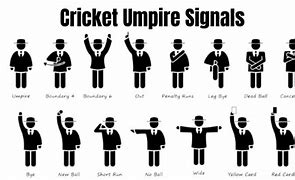 Image result for Cricket Umpire Jersey S
