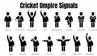 Image result for Michael Gaffney Cricket Umpire