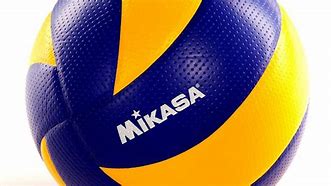 Image result for A Volleyball Ball Indoor