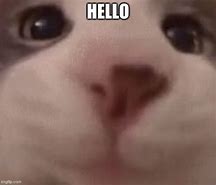 Image result for Mean Hello Meme