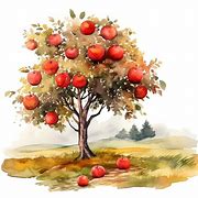 Image result for Apple Orchard Autumn