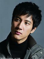 Image result for 王力宏